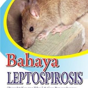 Bahaya Leptospirosis